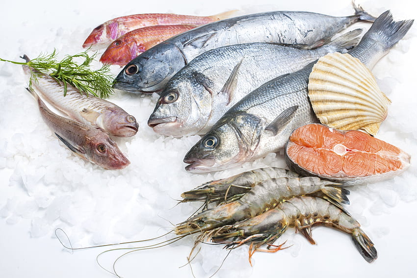 Seafood Food Fish Sea Ocean HD wallpaper