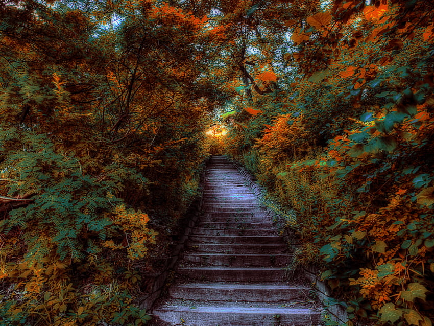Scenic Stairwell, heavenly, stairs, color, trees, stone HD wallpaper