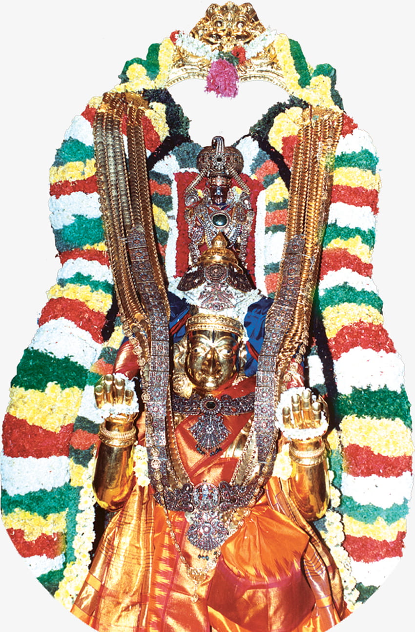 Sri Venkateswara Swamy Vaari God Vector Stock Vector (Royalty Free)  1698797887 | Shutterstock