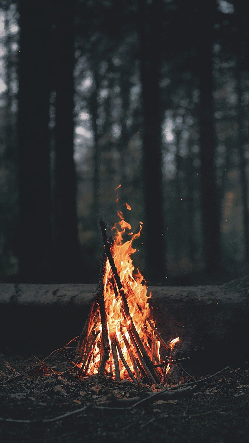 Natur, Landschaft, Hochformat, Holz, Feuer, Ast, Bäume, Wald, Brennen, Lagerfeuer, Blätter, Dunkel, Schärfentiefe / und mobiler Hintergrund HD-Handy-Hintergrundbild