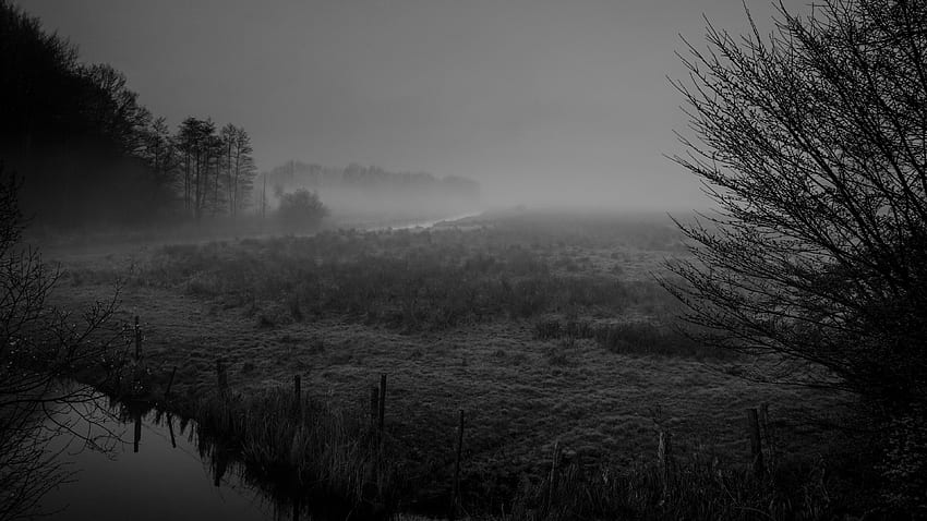 Nebbia - Tutto lo della nebbia superiore, nebbia della foresta oscura Sfondo HD