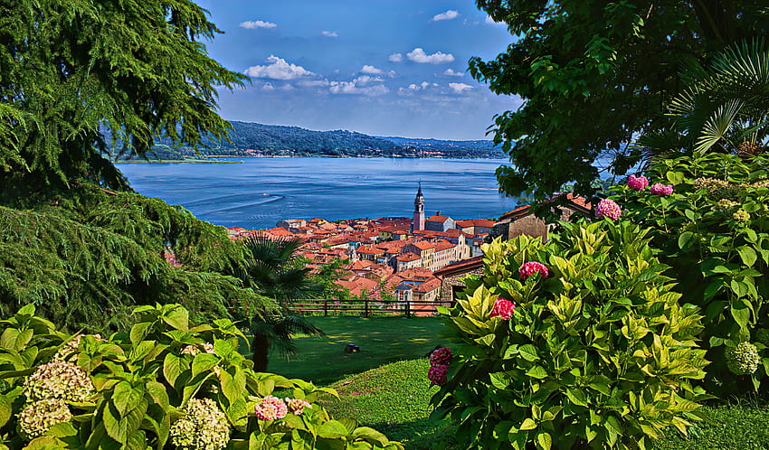 Jezioro Maggiore, lato, hortensja, jezioro, widok, piękne, kwiaty, trawa, Włochy Tapeta HD
