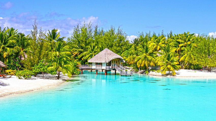 Clear aqua blue lagoon and white sand beach on paradise island Bora Bora, island, blue, sand, tropical, tahiti, beach, islands, ocean, palm trees, sea, white, exotic, paradise, aqua, beautiful, lagoon, atoll, clear, bora bora, polynesia HD wallpaper