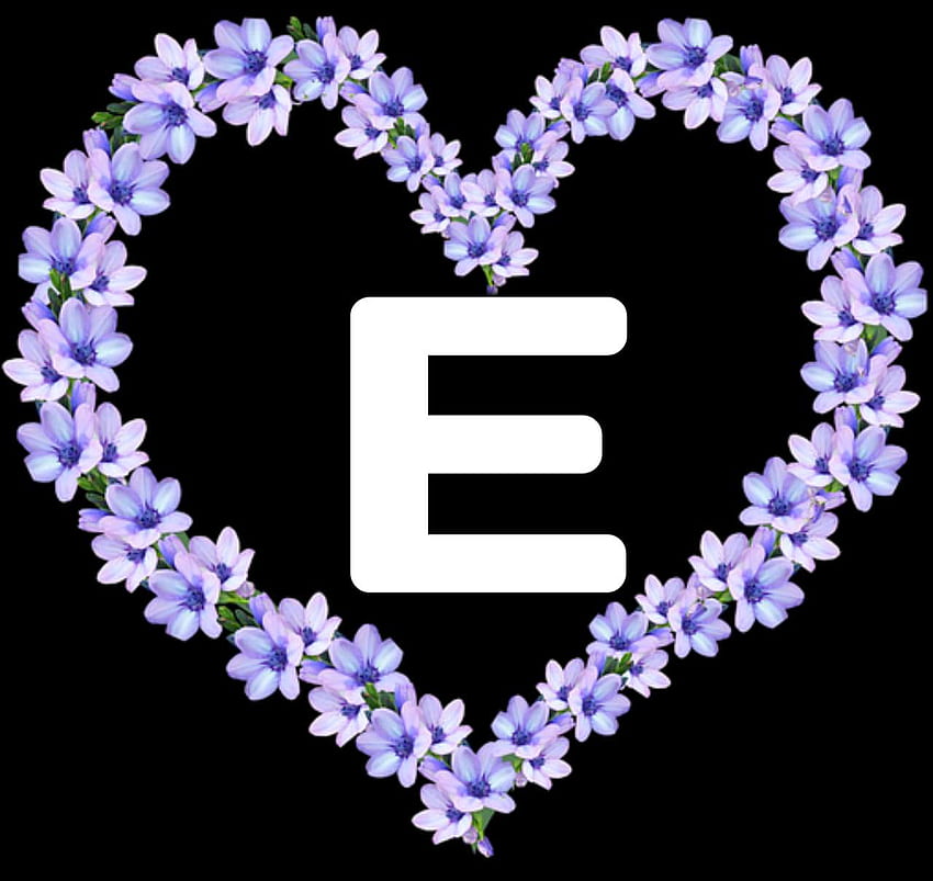 Free Letter E Photos and Vectors