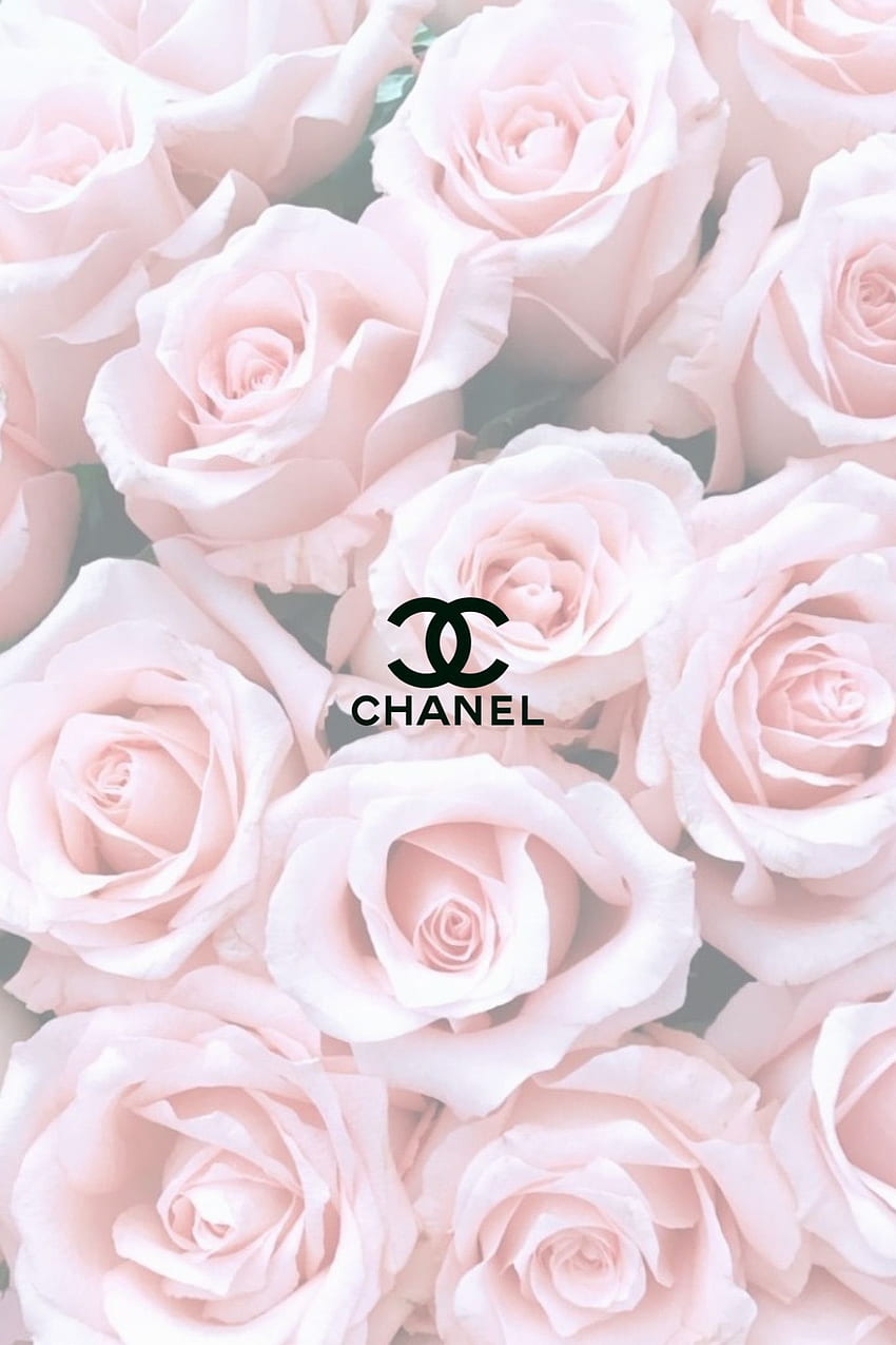 Chanel Estetic Rose in 2020. Rose , Estetyczne róże, Różowy iPhone Tapeta na telefon HD
