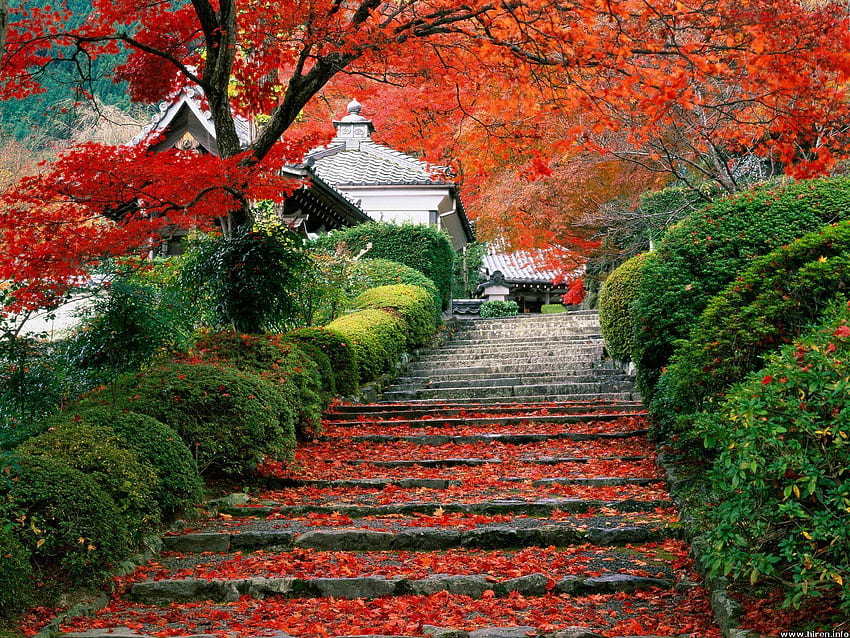 Japan-schöner Platz-Hintergrund, japanisches szenisches HD-Hintergrundbild