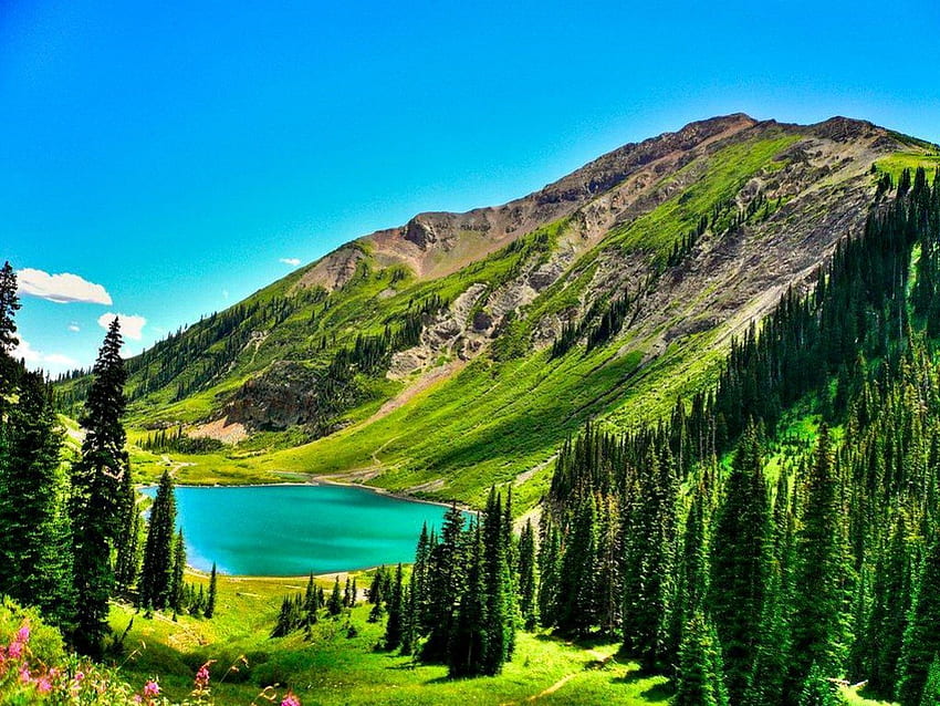 Красиво място, синьо, място, трева, хубаво, планина, езеро, лято, красиво, зелено, дървета, зеленина, гледка, природа, цветя, небе, прекрасен HD тапет