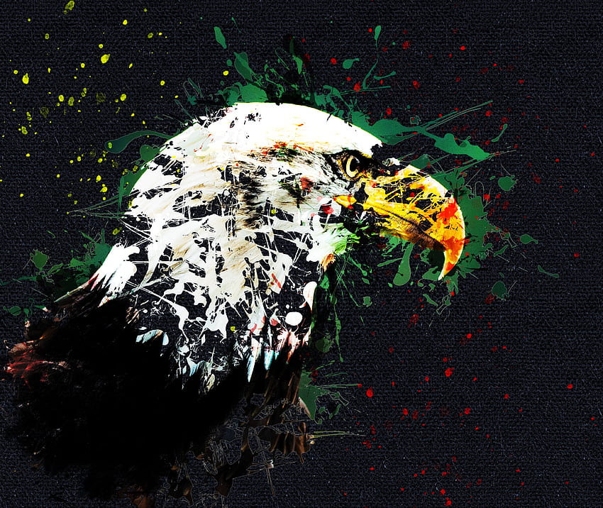 Art, Beak, Eagle HD wallpaper