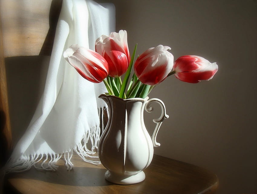Flores, Tulipanes, Silla, Jarra, Bicolor, Bicolor, Estola fondo de pantalla