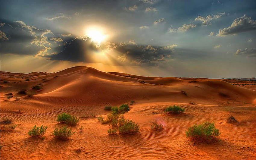 Desert Landscape Summer Sunset In The Desert Red Sand Beautiful HD wallpaper  | Pxfuel