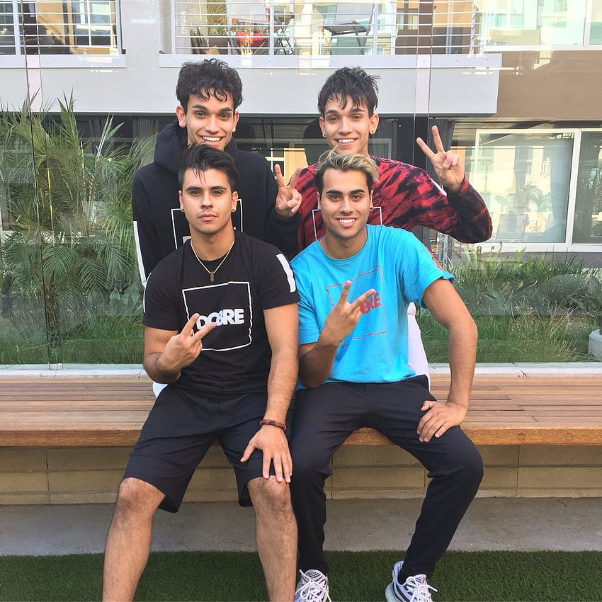 Download Dobre Brothers On The Roof Wallpaper  Wallpaperscom