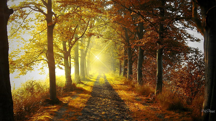 Indian summer morning - High Quality and Resolution HD wallpaper