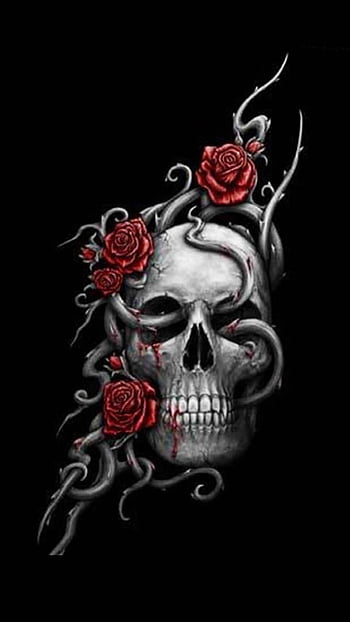 Skull and roses sketch with gradation effect Vector Image