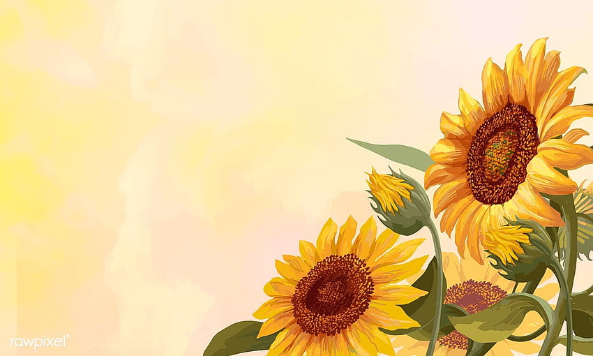 Hand drawn sunflowers on a yellow background vector. premium by. Sunflowers background, Yellow background, How to draw hands, Yellow Flowers Laptop HD wallpaper