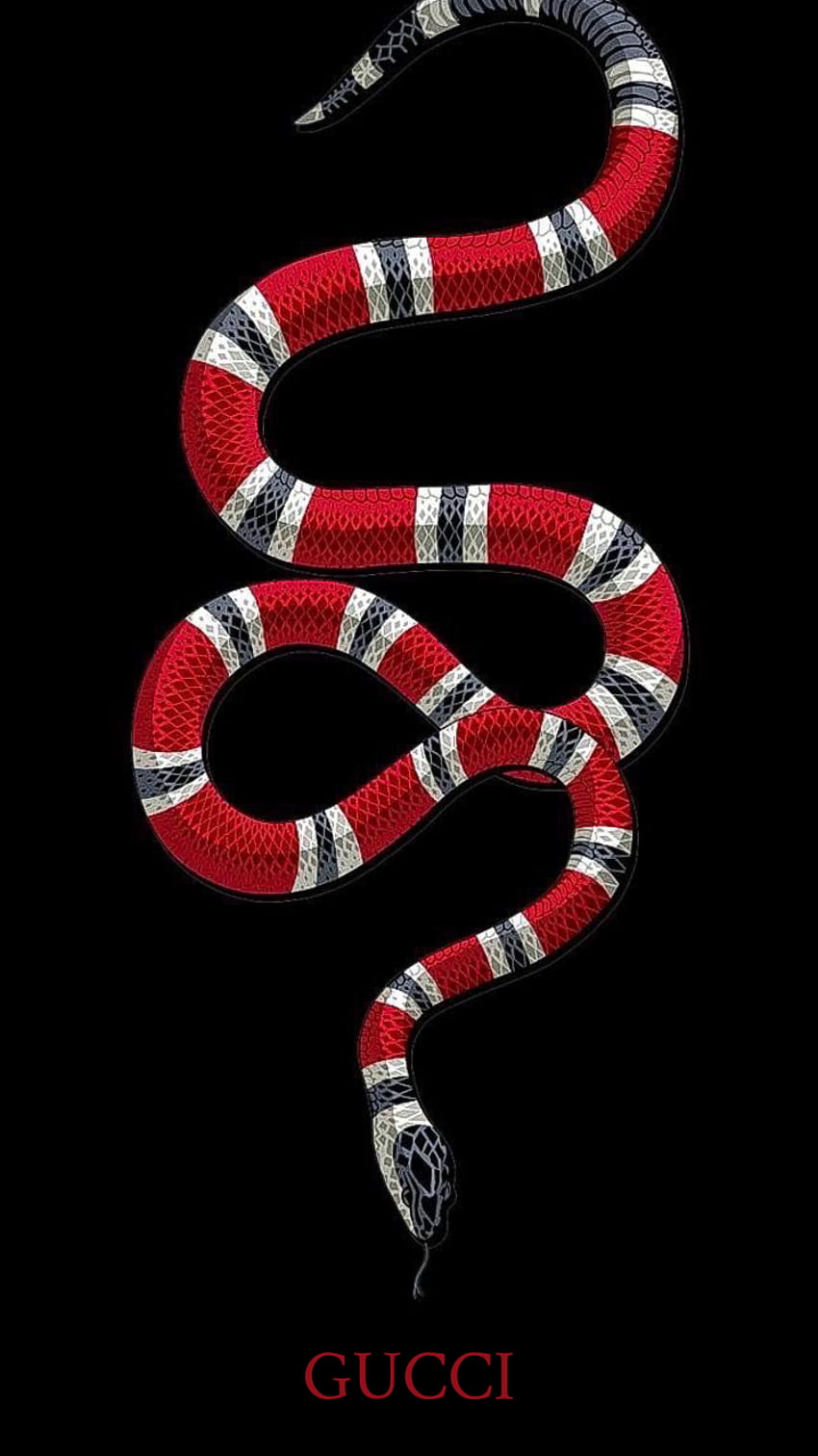 Фон Gucci Snake, черна и червена змия HD тапет за телефон