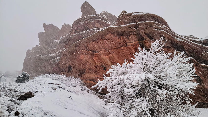 Nevando fuerte en Red Rocks, Colorado, invierno, montañas, árbol, nieve, estados unidos fondo de pantalla