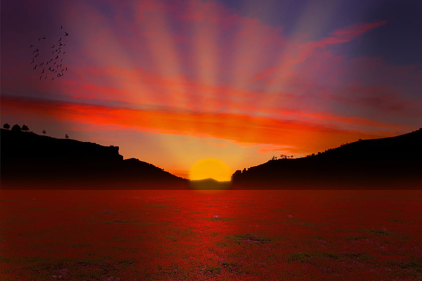 Field at Sunrise Computer , Background. Sunset nature, Sunset background, Sunset, Relaxing Sunset HD wallpaper