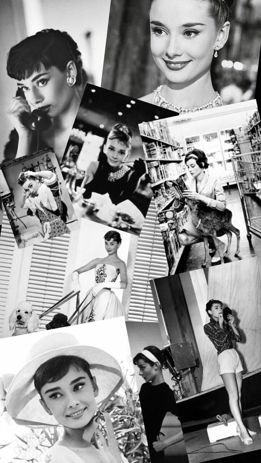 Fondo de pantalla móvil, Audrey Hepburn HD phone wallpaper