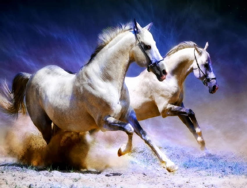 Galloping Horses งานศิลปะ ม้าควบม้า สัตว์ต่างๆ วอลล์เปเปอร์ HD