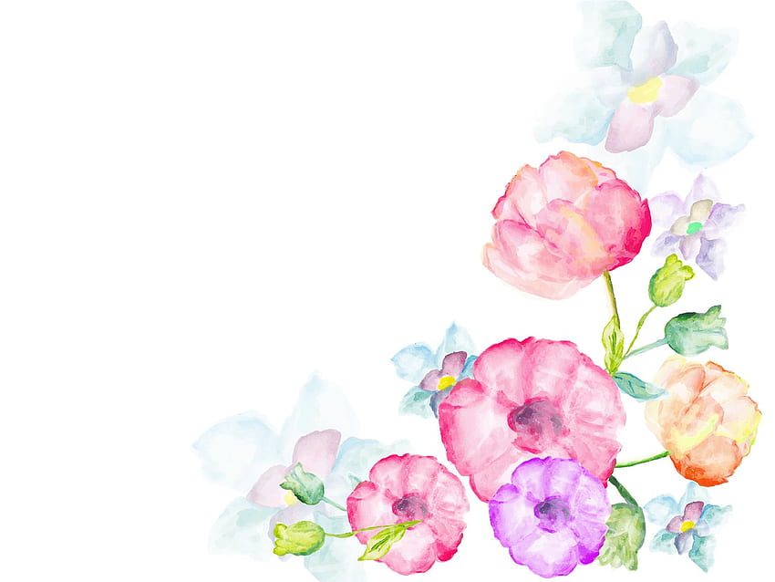 Watercolor flowers greetings Background Flowers Pink Red White [] for your , Mobile & Tablet. Explore Watercolor Floral . Floral , Floral for Walls, Watercolor for Walls HD wallpaper