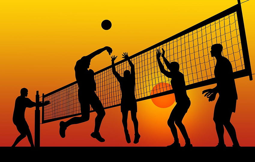 sunset, mesh, jump, sport, graphics, the ball, men, volleyball, athletes, throw, LBes for , section минимализм, Volleyball Net HD wallpaper