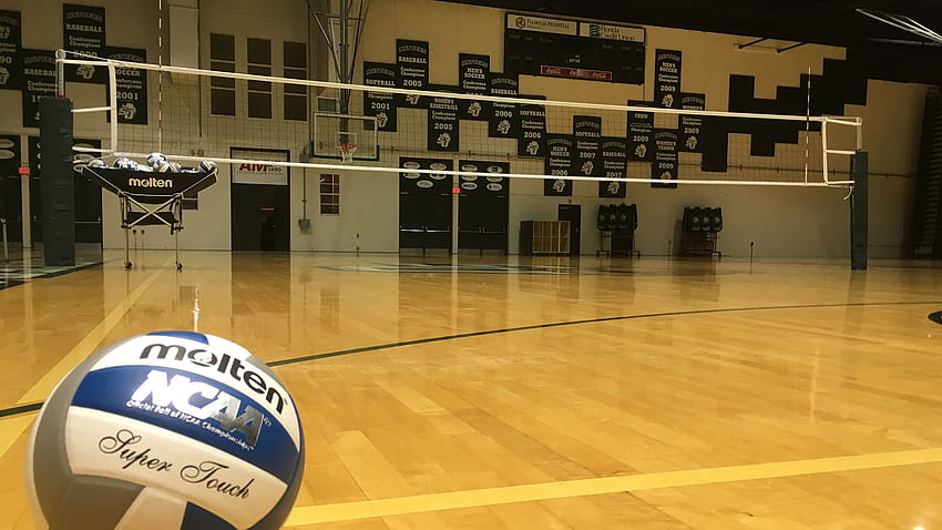Indoor Volleyball To Host Two Spring Clinics - Stetson University ...