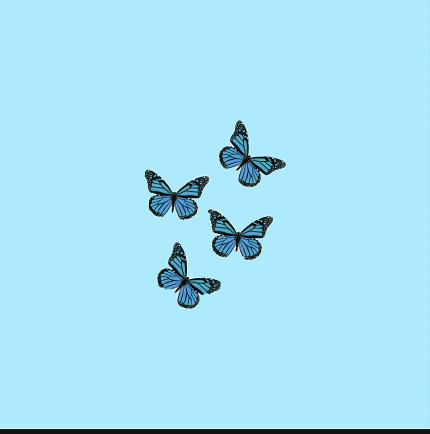 Collage de papillons, papillon bleu foncé Fond d'écran de téléphone HD