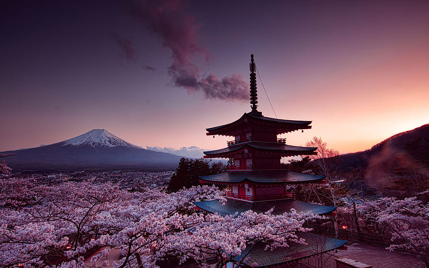 Mount Fuji Japonia Wulkan Wiśniowy kwiat Churei Tapeta HD