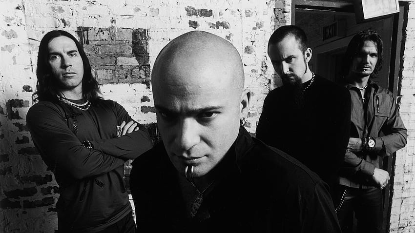 disturbed, band, members, bald, look HD wallpaper