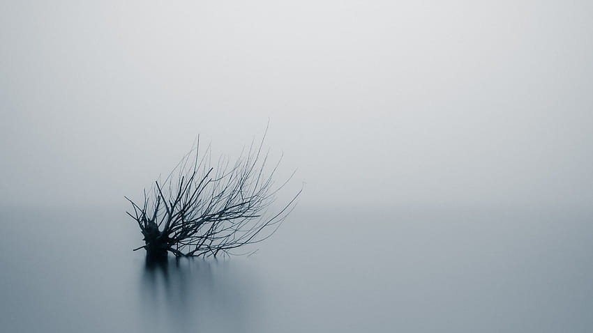 przyroda, kraj, minimalizm, woda, mgła, długi czas ekspozycji, minimalistyczna woda Tapeta HD