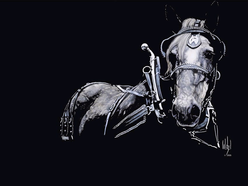 Black draft horse, animal, power, black, draft horse HD wallpaper