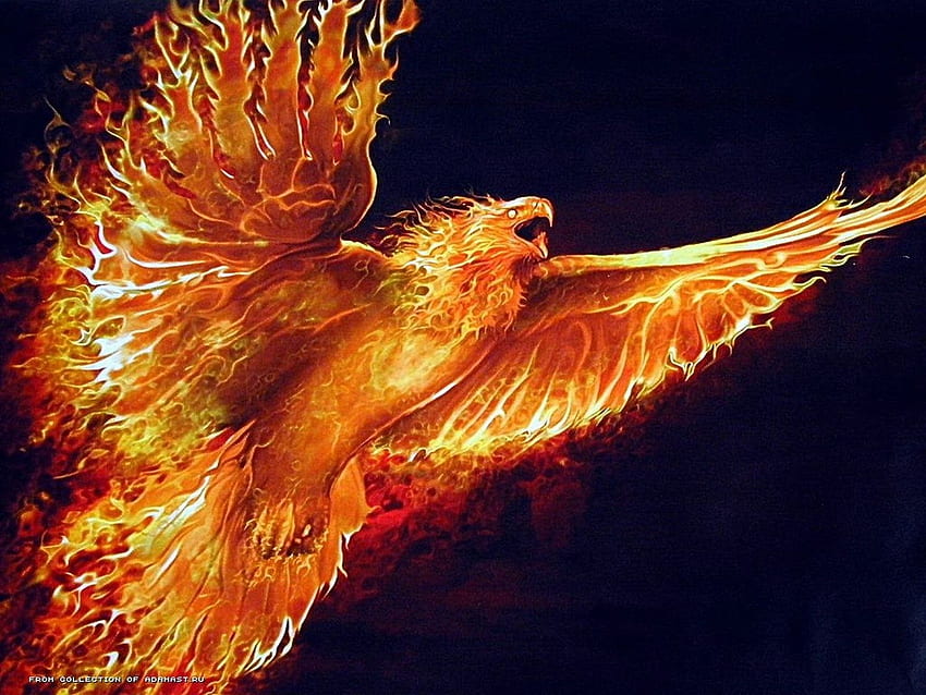 Cool fire 500 Collection, Neon Eagle HD wallpaper