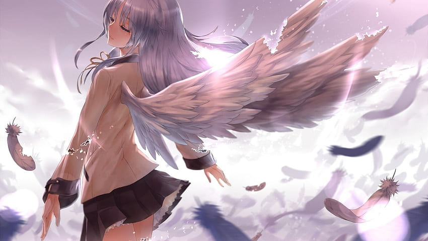 애니메이션 소녀 천사 날개 빛 깃털 만화 및 주식 HD 월페이퍼