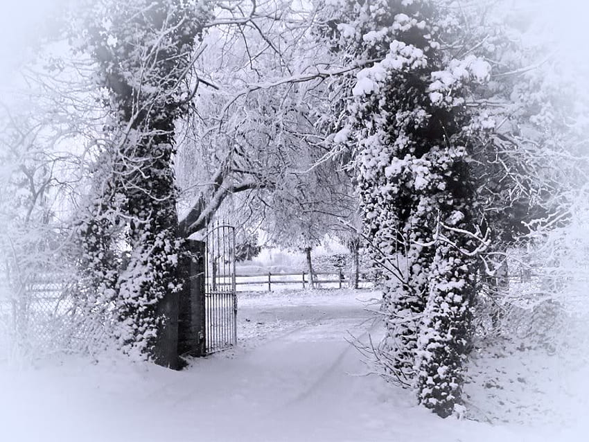 Снежна порта, сняг, дърво, порта, ограда HD тапет