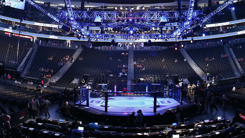 octógono, local de esporte, arena, palco, local de música, desempenho, UFC Cage papel de parede HD