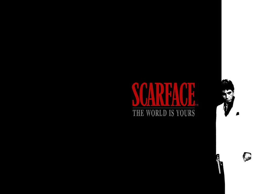 Scarface The World Is Yours HD wallpaper