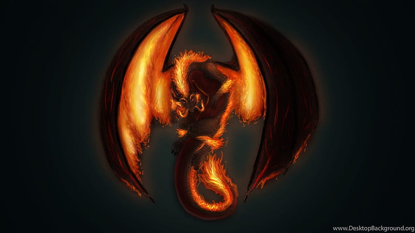 Top 50 Dragon , , Background,, Orange Dragon HD wallpaper