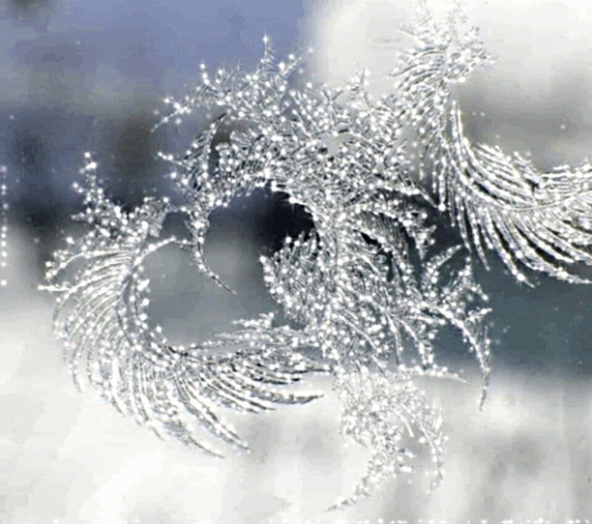 ฤดูหนาวในแคนาดา ชุดที่ 1 --ice crystals, series, crystals, Canada, ice วอลล์เปเปอร์ HD