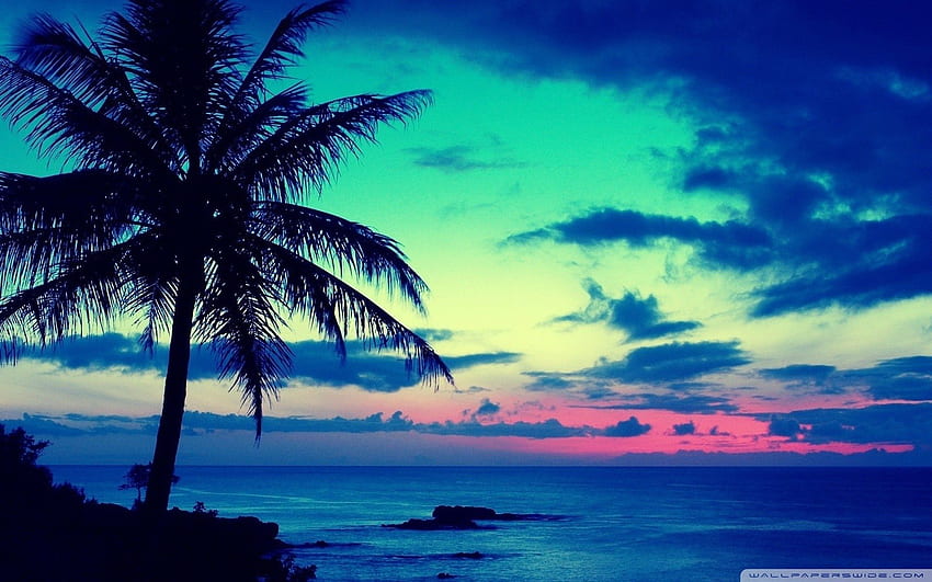 HD Tropical Wallpapers on WallpaperDog