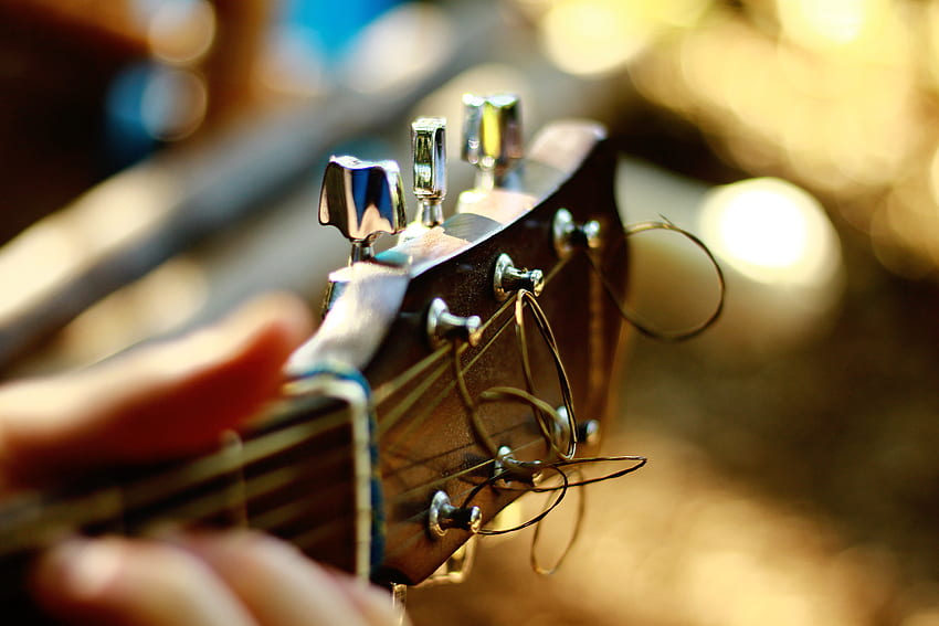 Música, Guitarra, Abutre, Cordas papel de parede HD