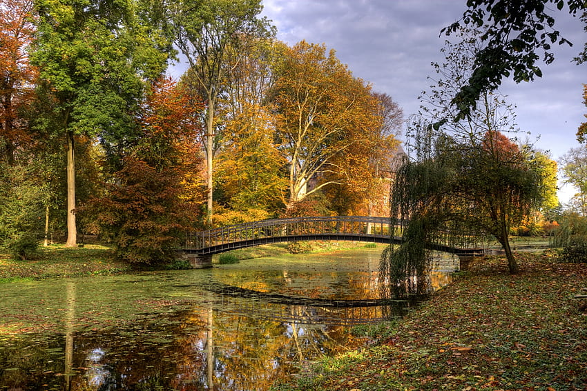 naturaleza, ríos, árboles, otoño, hojas, puente, países bajos fondo de pantalla