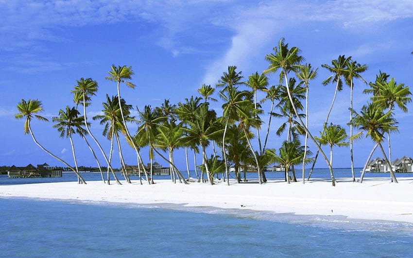 tropical islands, sea, island, tropical, beach HD wallpaper