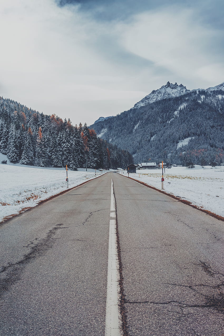 도로, 자연, 나무, 산, 눈, 마크업 HD 전화 배경 화면