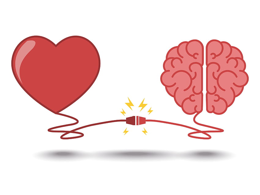 Heart Mind Business Case Taniaellis - Heart And Brain Clipart - & Background HD wallpaper
