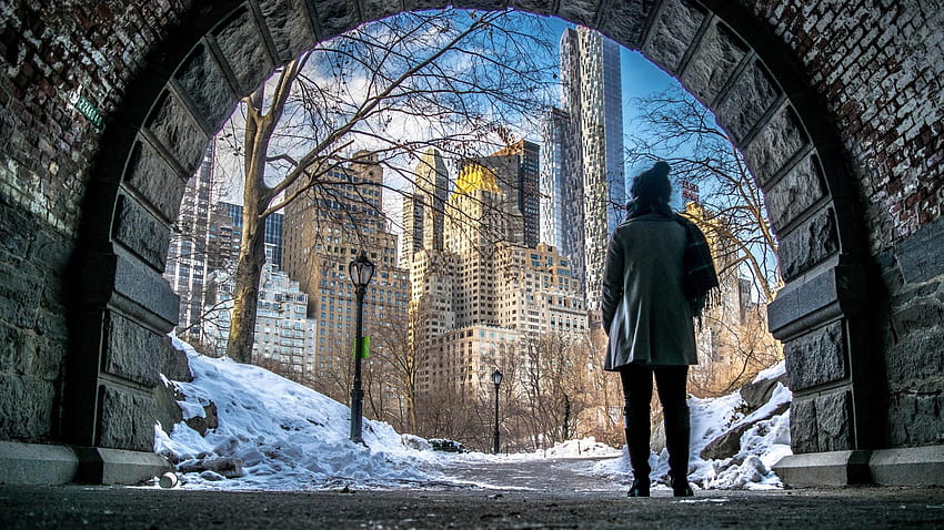 New York From The Central Park In Winter . HD wallpaper
