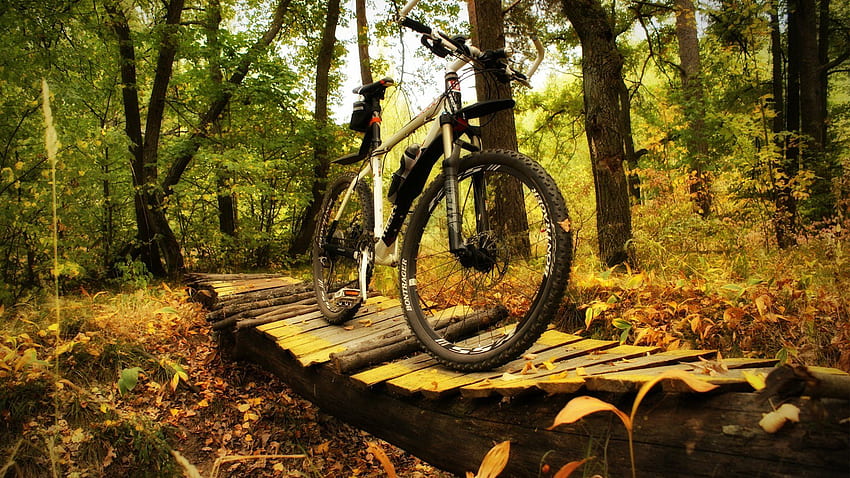 trek, Bicycle, Bike / and Mobile Background, Trek MTB HD wallpaper
