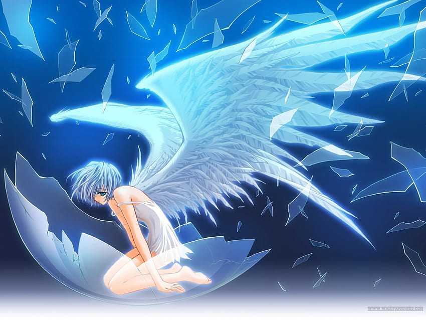 Wallpaper Angel girl kiss boy wings trees beautiful anime picture  2880x1800 HD Picture Image