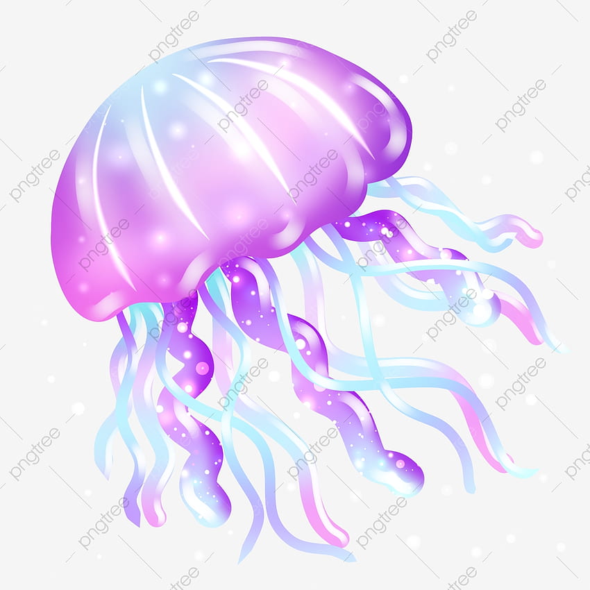 Jellyfish PNG . Vector and PSD Files. on Pngtree, Cartoon Jellyfish HD phone wallpaper