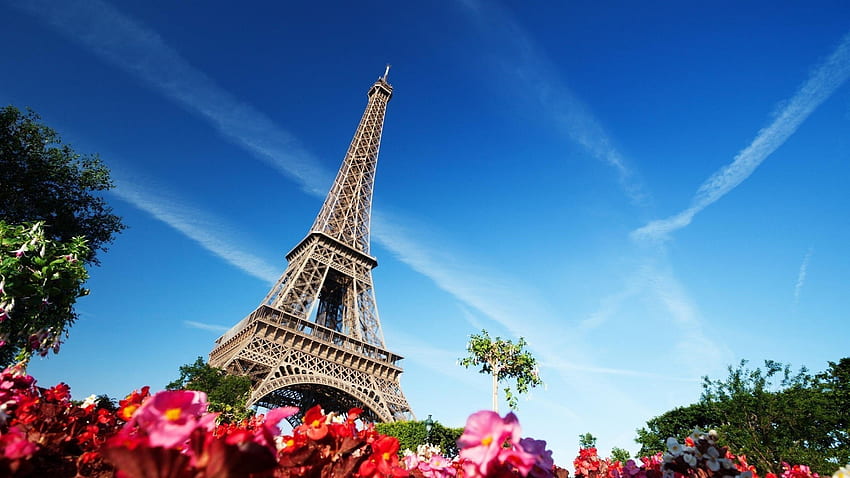 Айфелова кула, сграда, архитектура, цветя, Париж - фон на Париж Франция, френска архитектура HD тапет