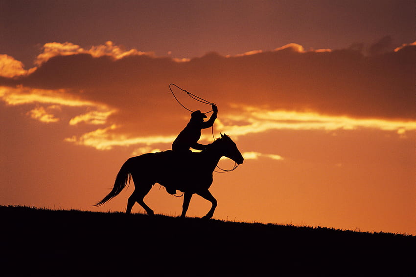 Sunset rodeo, horse, rodeo, man, sunset HD wallpaper